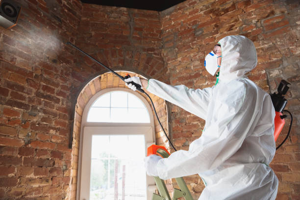 Best Asbestos and Lead Testing During Mold Inspection  in Mission Viejo, CA