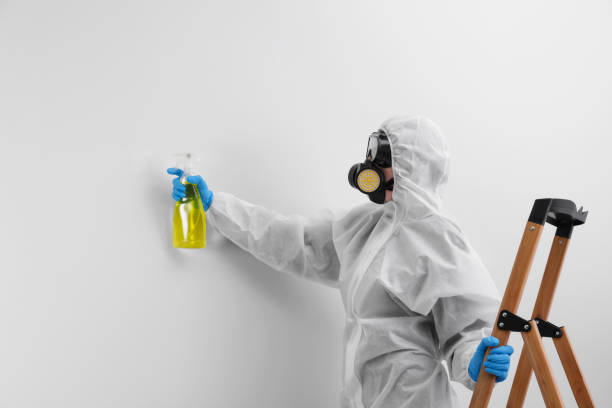 Best Forensic Mold Investigation  in Mission Viejo, CA