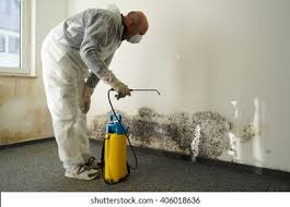 Best Commercial Mold Inspection  in Mission Viejo, CA